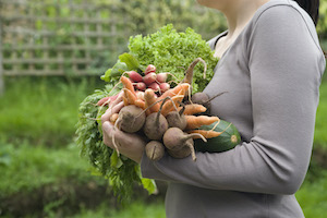 Frau trägt frisch geerntetes Gemüse